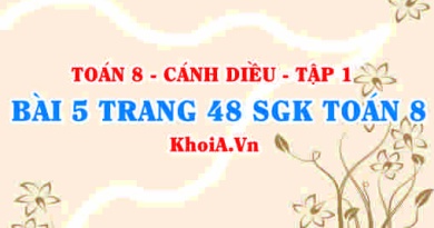 Bài 5 trang 48 SGK Toán 8 tập 1 Cánh Diều